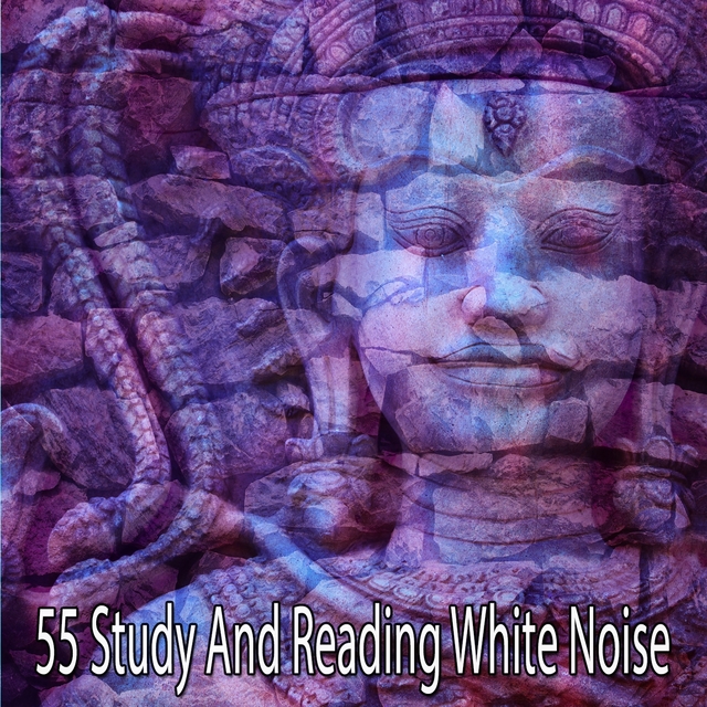 Couverture de 55 Study And Reading White Noise