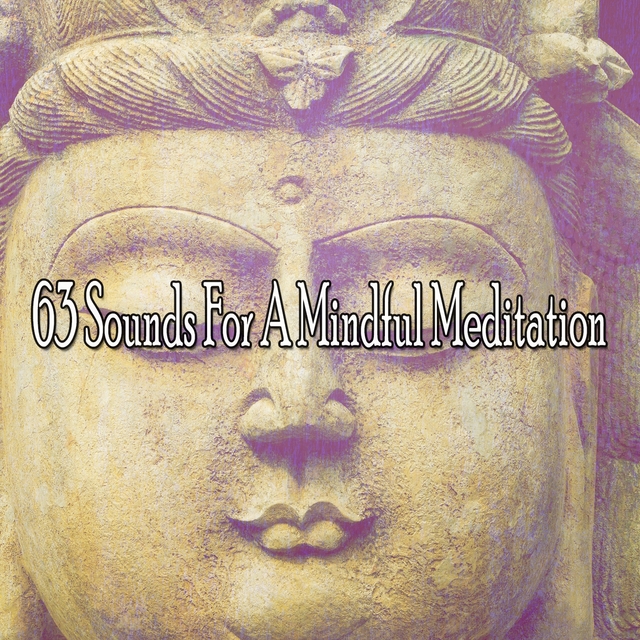 Couverture de 63 Sounds For A Mindful Meditation