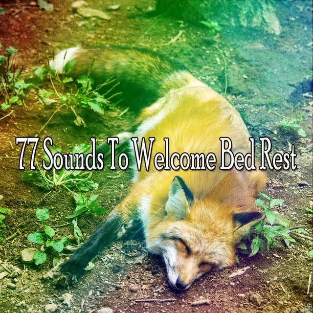 Couverture de 77 Sounds To Welcome Bed Rest