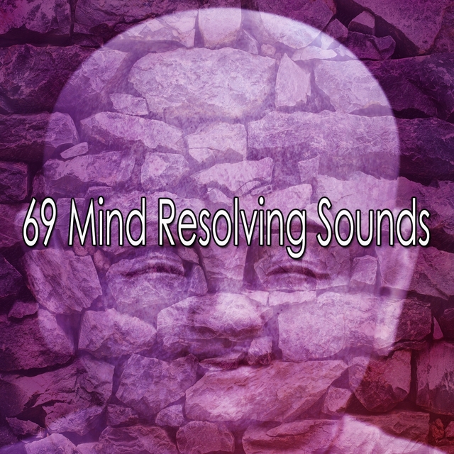 Couverture de 69 Mind Resolving Sounds