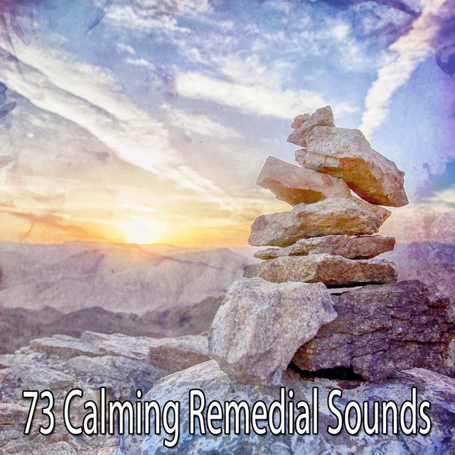 Couverture de 73 Calming Remedial Sounds