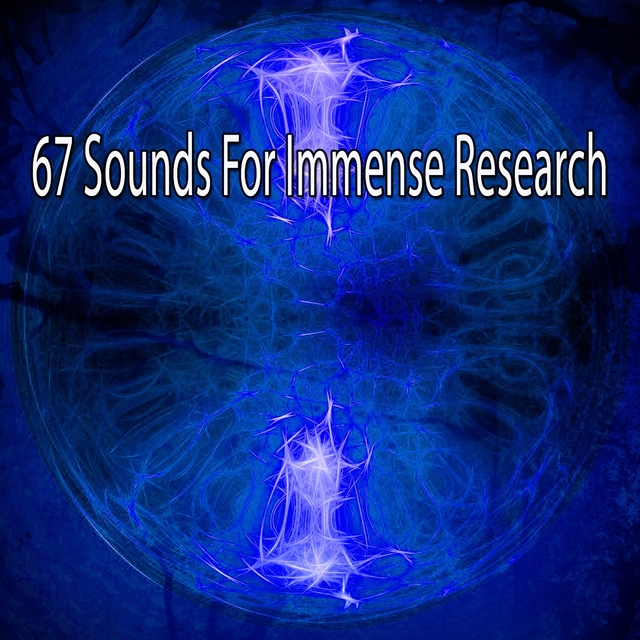 Couverture de 67 Sounds For Immense Research