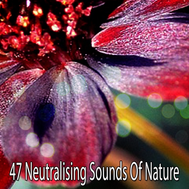 Couverture de 47 Neutralising Sounds Of Nature