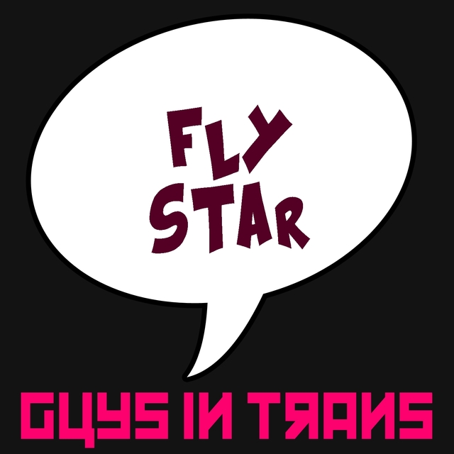 Couverture de Fly Star