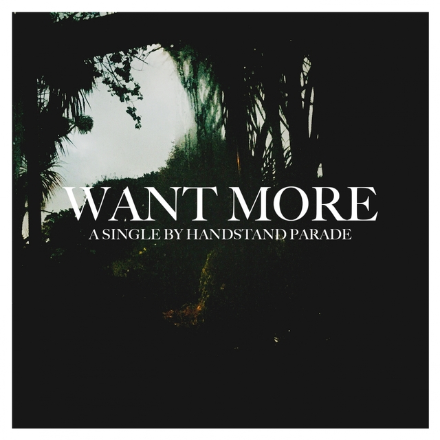 Couverture de Want More