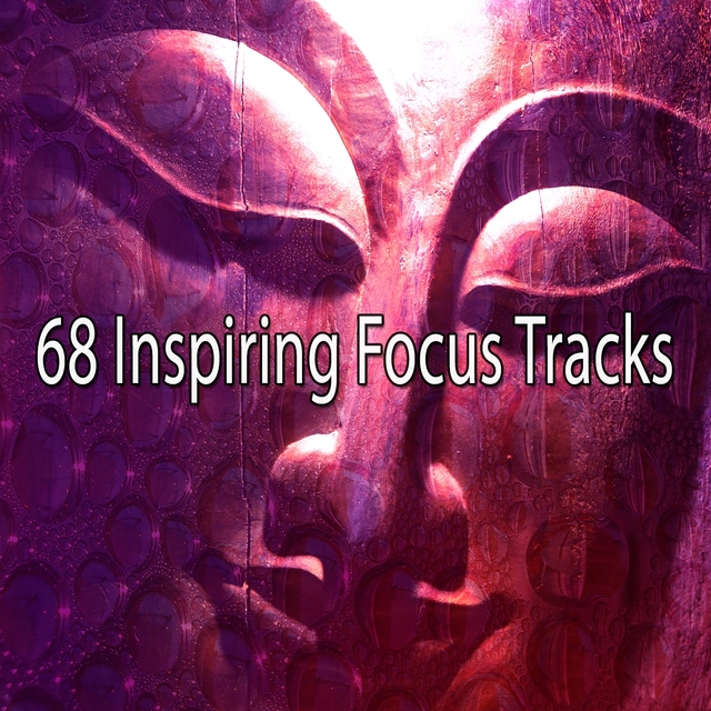 Couverture de 68 Inspiring Focus Tracks