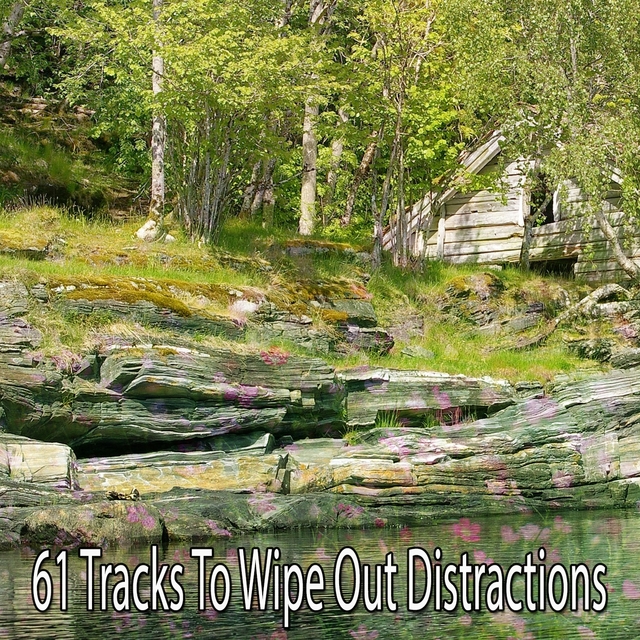 Couverture de 61 Tracks To Wipe Out Distractions