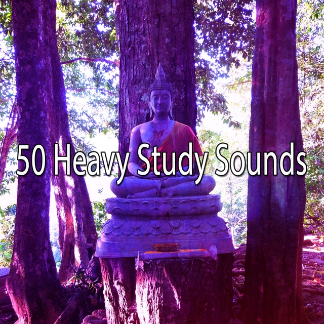 Couverture de 50 Heavy Study Sounds