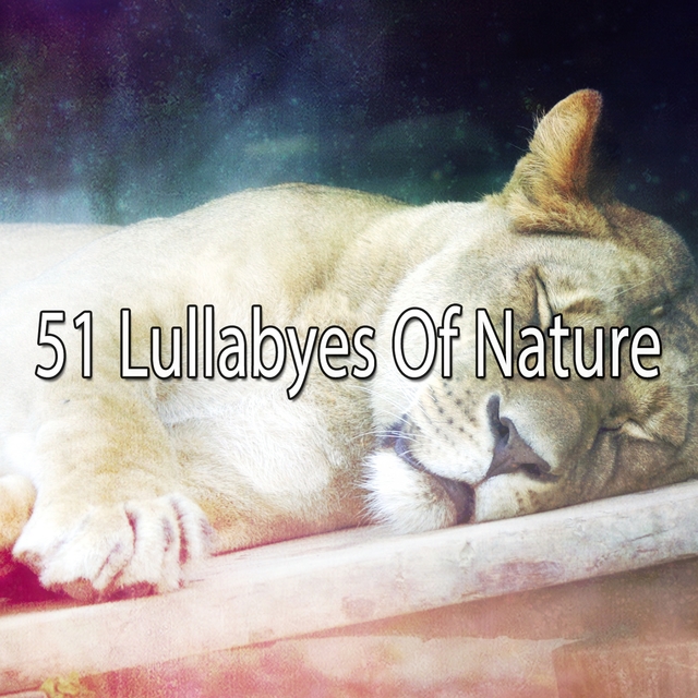 Couverture de 51 Lullabyes Of Nature