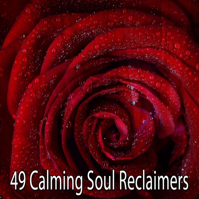 49 Calming Soul Reclaimers