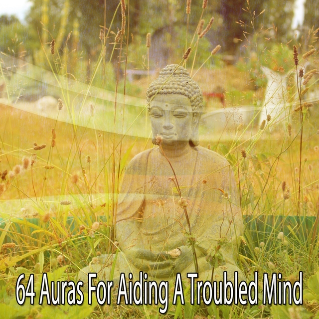 Couverture de 64 Auras For Aiding A Troubled Mind
