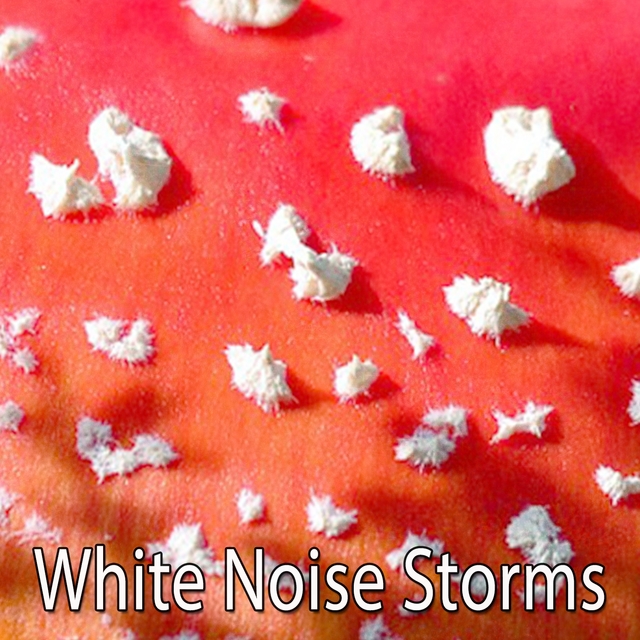 White Noise Storms