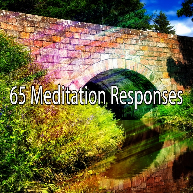 Couverture de 65 Meditation Responses