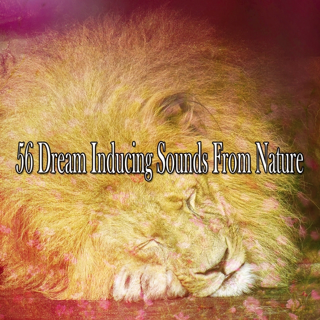 Couverture de 56 Dream Inducing Sounds From Nature