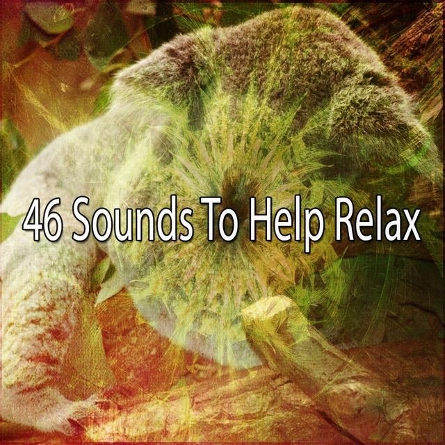 Couverture de 46 Sounds To Help Relax