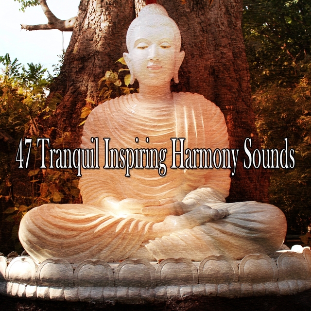 Couverture de 47 Tranquil Inspiring Harmony Sounds