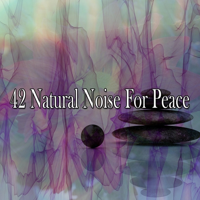 Couverture de 42 Natural Noise For Peace
