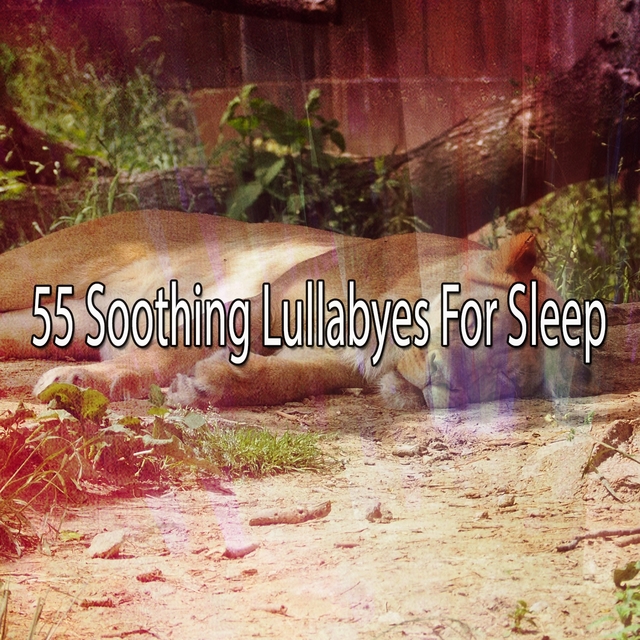 55 Soothing Lullabyes For Sleep