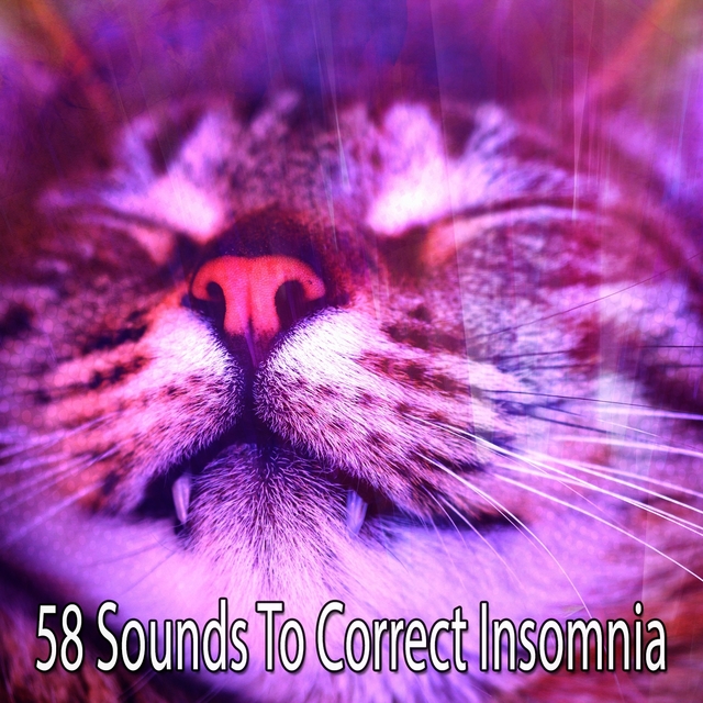 Couverture de 58 Sounds To Correct Insomnia