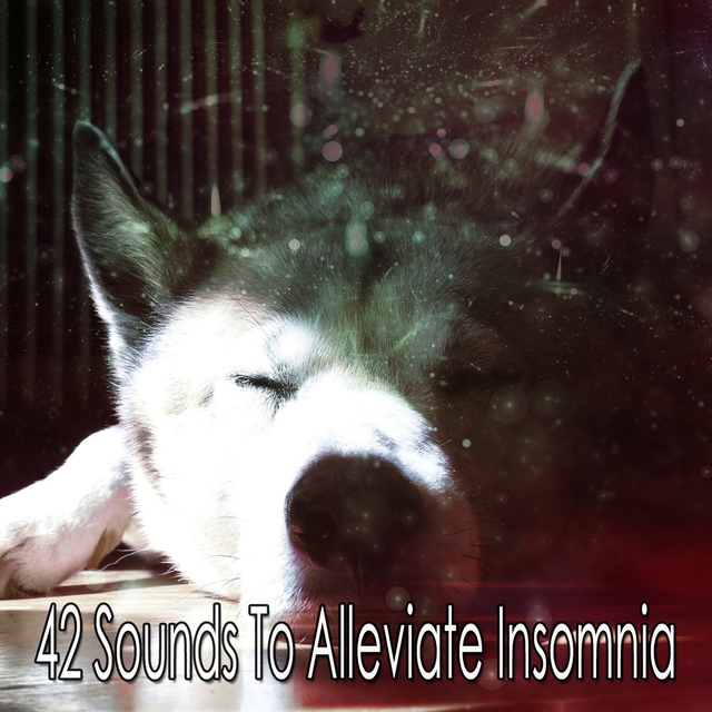 Couverture de 42 Sounds To Alleviate Insomnia