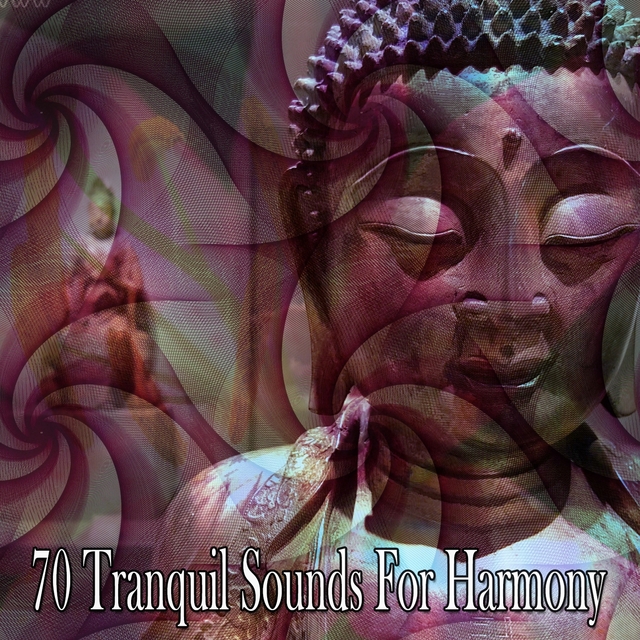 70 Tranquil Sounds For Harmony