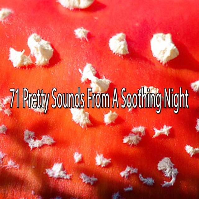 Couverture de 71 Pretty Sounds From A Soothing Night