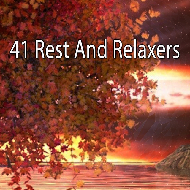 Couverture de 41 Rest And Relaxers