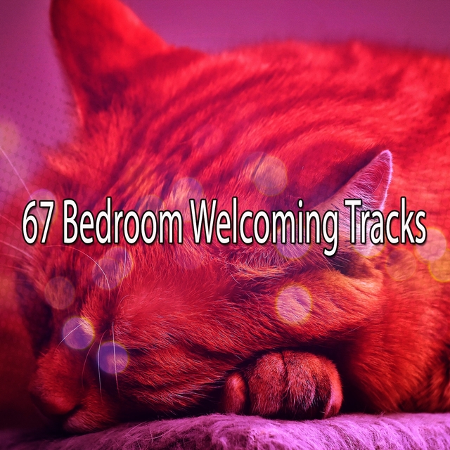 Couverture de 67 Bedroom Welcoming Tracks