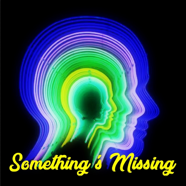 Couverture de Something's Missing