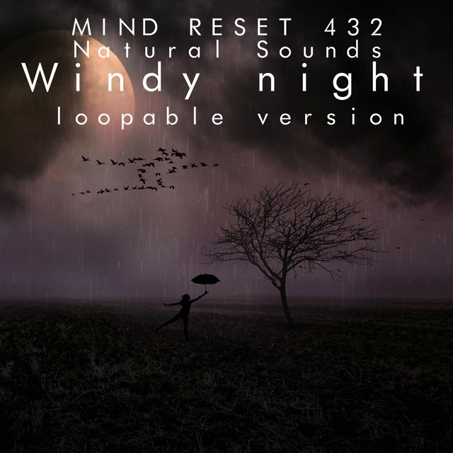 Nature sounds: windy night