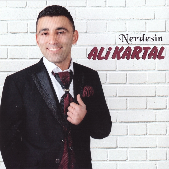 Couverture de Nerdesin