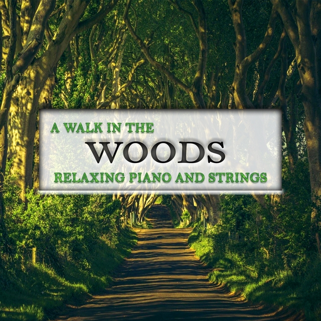 Walking in the Woods, Relaxing Piano and Strings