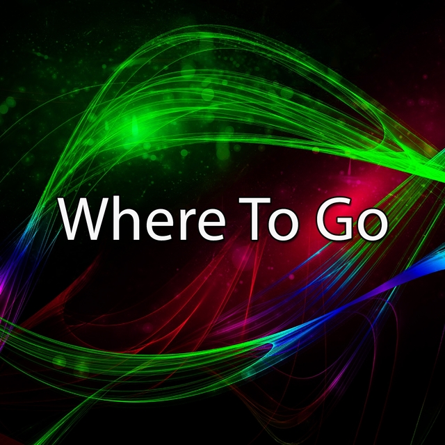 Couverture de Where To Go