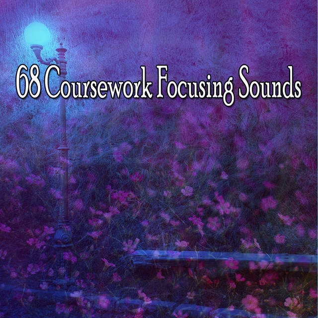 68 Coursework Focusing Sounds