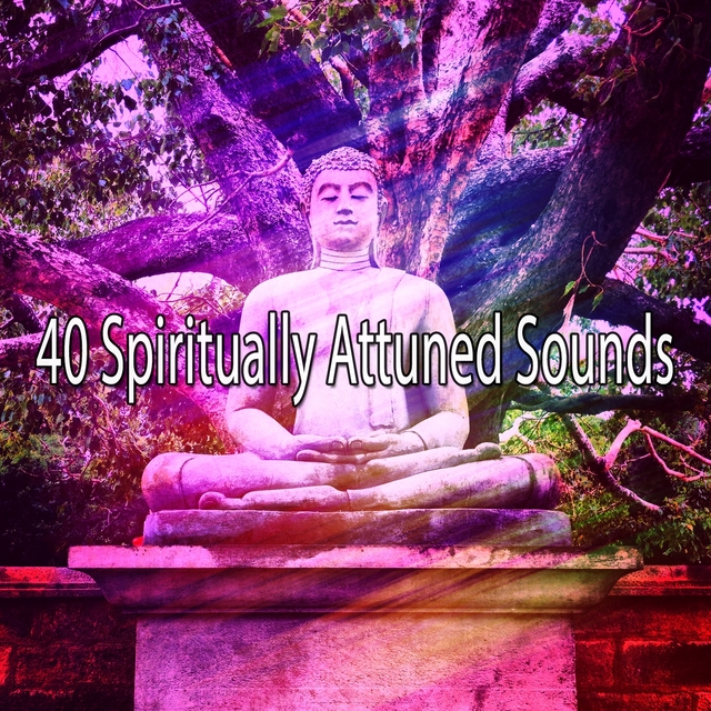 Couverture de 40 Spiritually Attuned Sounds