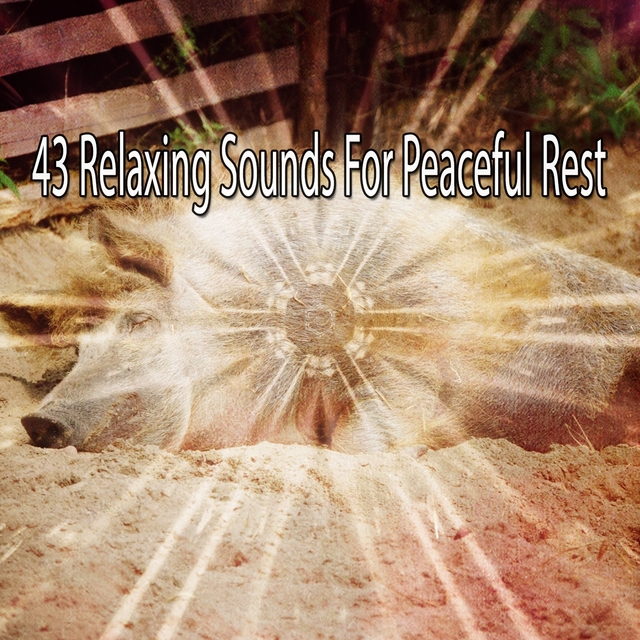 Couverture de 43 Relaxing Sounds For Peaceful Rest