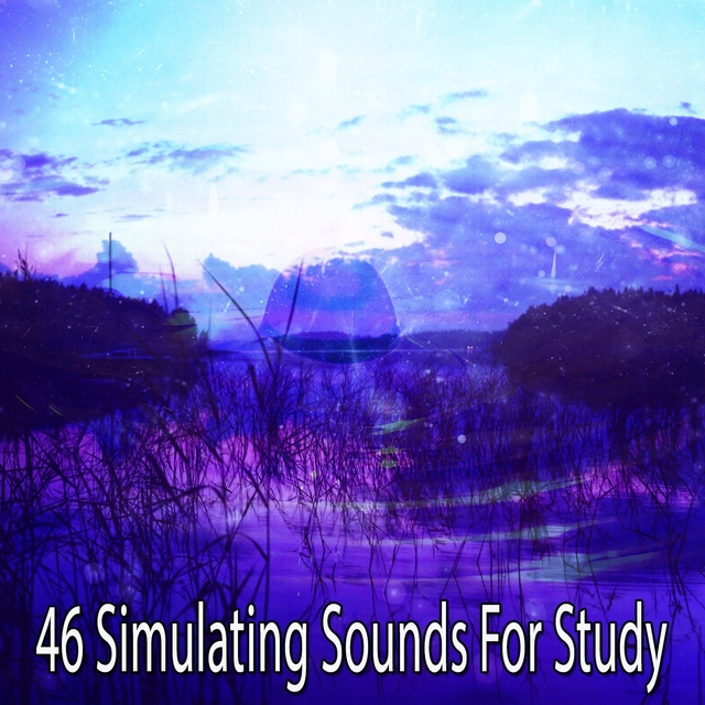 Couverture de 46 Simulating Sounds For Study