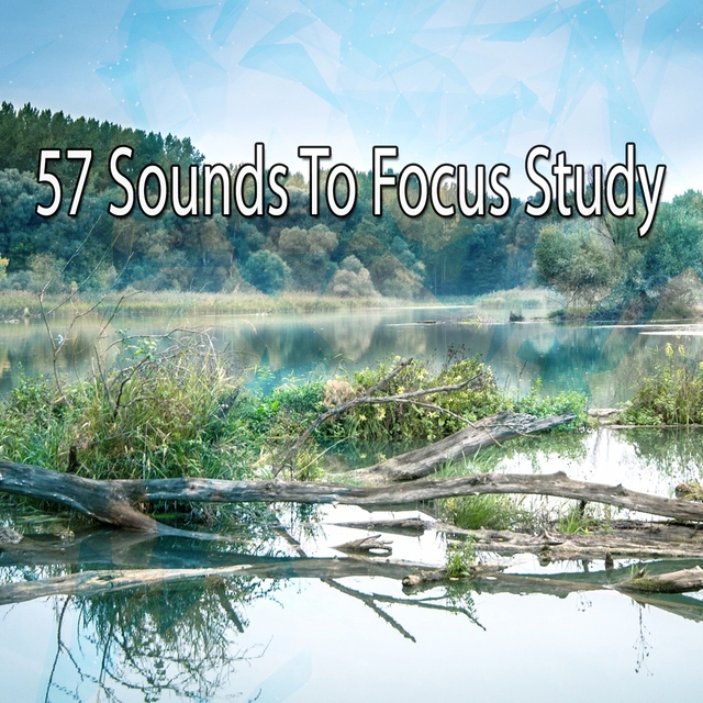 57 Sounds To Focus Study