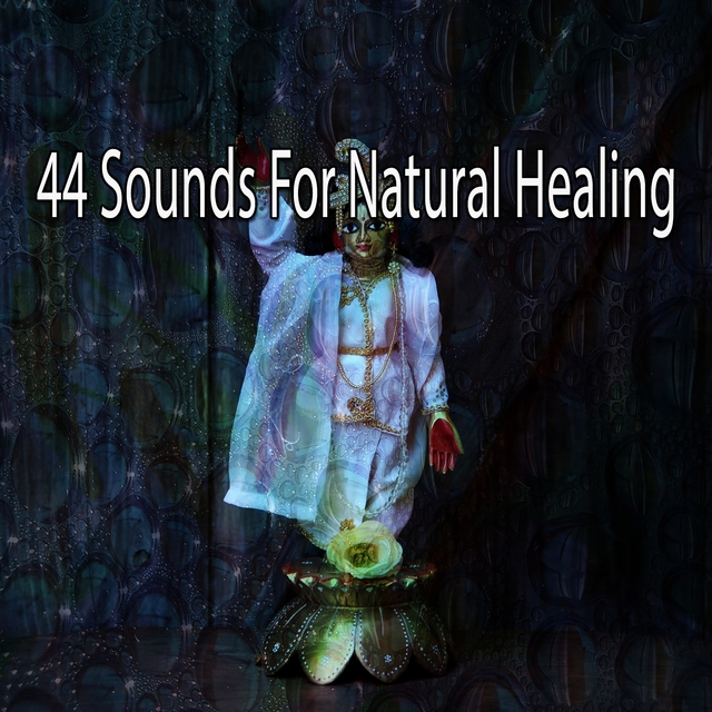 Couverture de 44 Sounds For Natural Healing