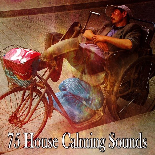 Couverture de 75 House Calming Sounds