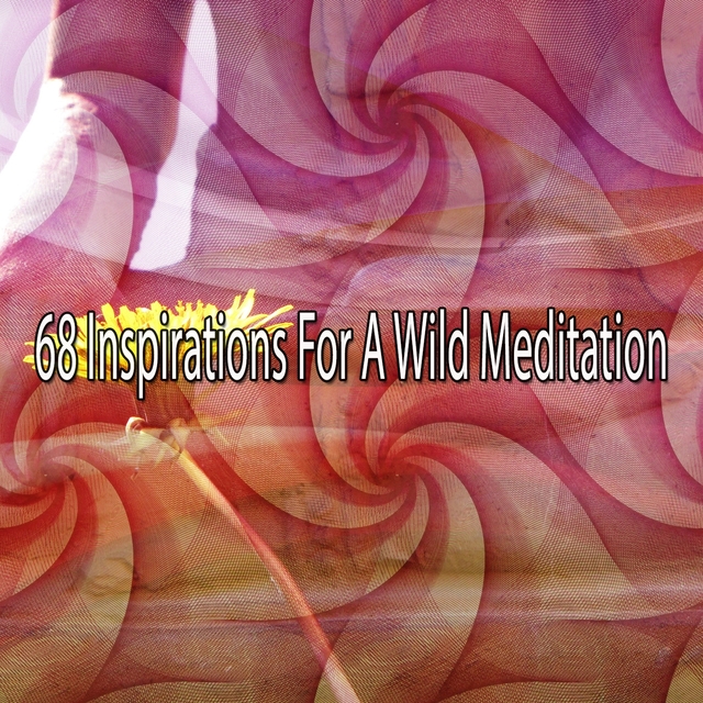 Couverture de 68 Inspirations For A Wild Meditation