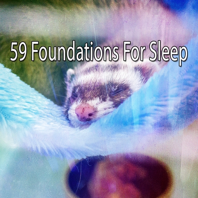 Couverture de 59 Foundations For Sleep