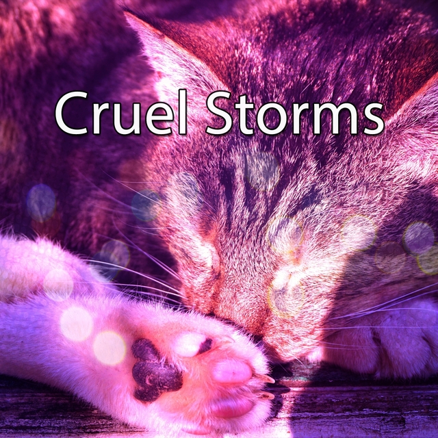 Cruel Storms