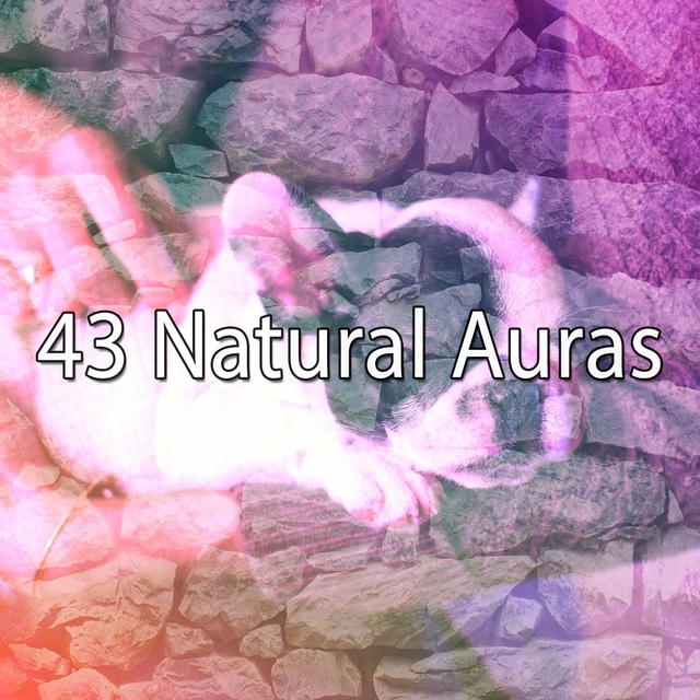 43 Natural Auras