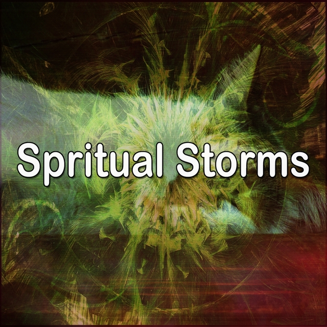 Couverture de Spritual Storms