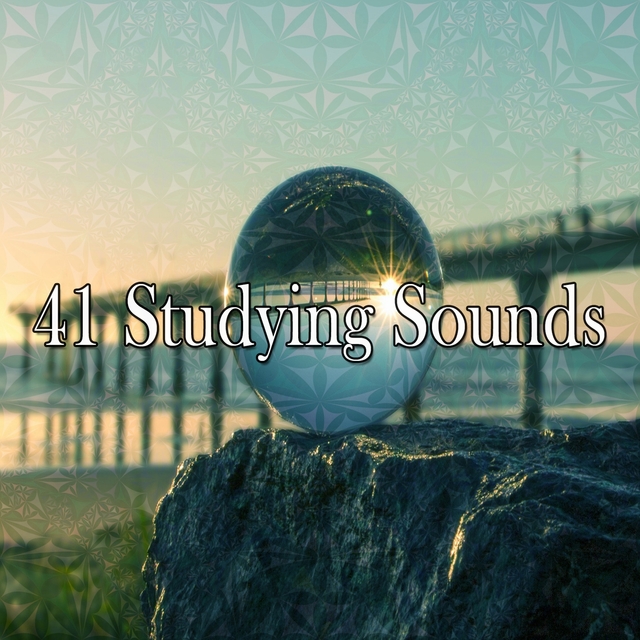 Couverture de 41 Studying Sounds