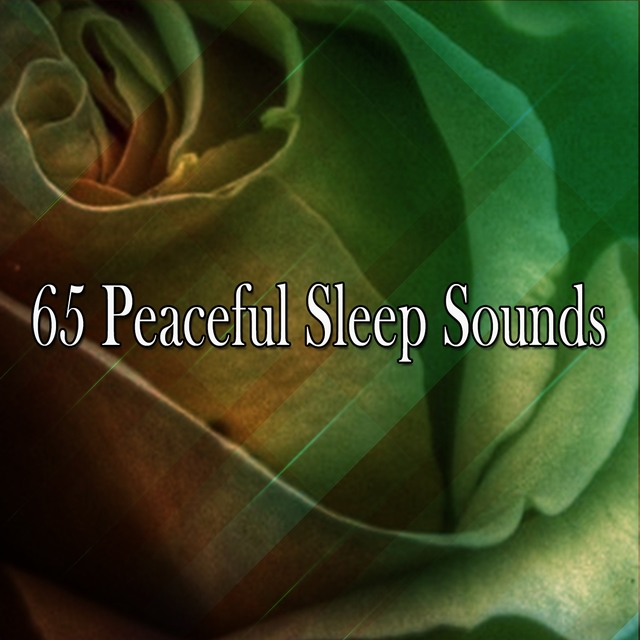 Couverture de 65 Peaceful Sleep Sounds