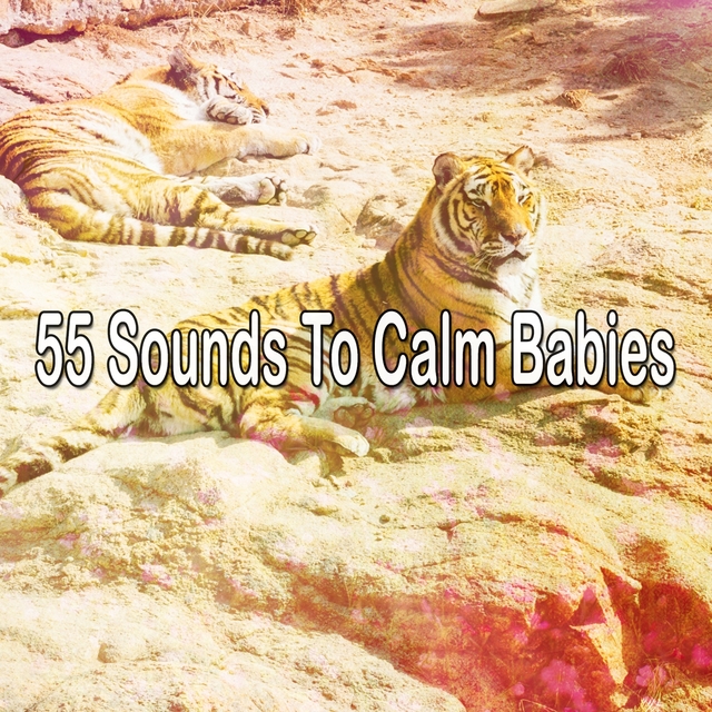 55 Sounds To Calm Babies