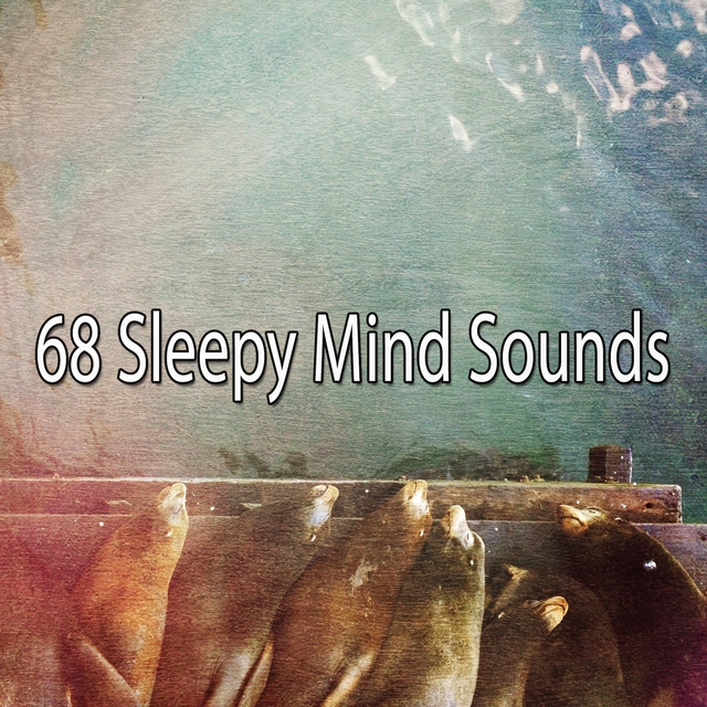 68 Sleepy Mind Sounds