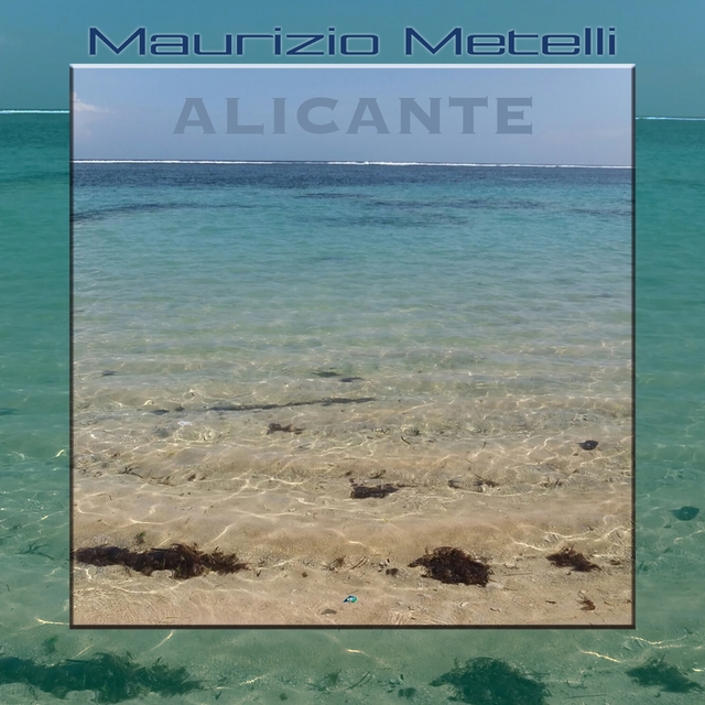 Couverture de Alicante